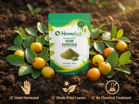 Sidr Powder for Hair Care: Uses, Benefits, Pros & Cons (Complete Guide)