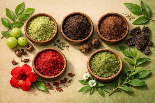 Why Ayurveda Recommends Amla, Reetha, Shikakai, Hibiscus &amp; Bhringraj for Long-Term Hair Health